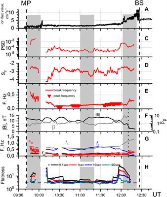 Plasma and Magnetic Field Turbulence in the Earth’s Magnetosheath at Ion Scales